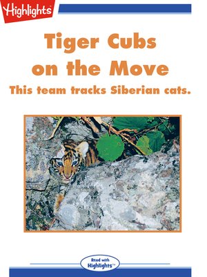 cover image of Tiger Cubs on the Move